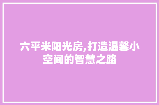 六平米阳光房,打造温馨小空间的智慧之路