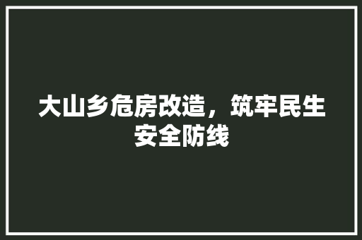 大山乡危房改造，筑牢民生安全防线
