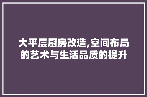 大平层厨房改造,空间布局的艺术与生活品质的提升