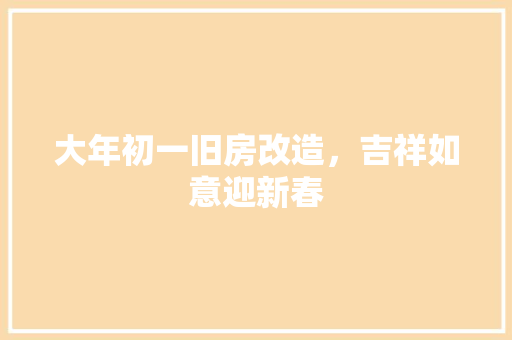 大年初一旧房改造，吉祥如意迎新春