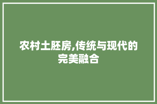 农村土胚房,传统与现代的完美融合