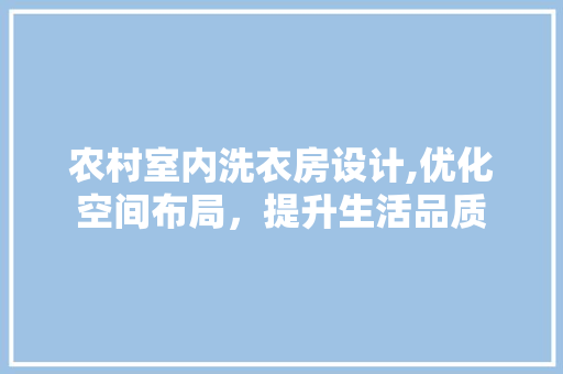 农村室内洗衣房设计,优化空间布局，提升生活品质