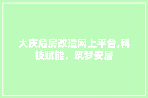 大庆危房改造网上平台,科技赋能，筑梦安居