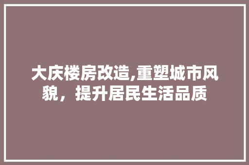 大庆楼房改造,重塑城市风貌，提升居民生活品质