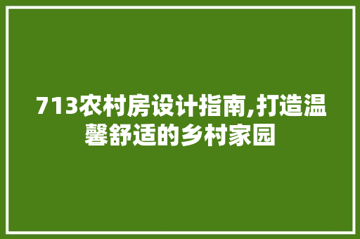 713农村房设计指南,打造温馨舒适的乡村家园