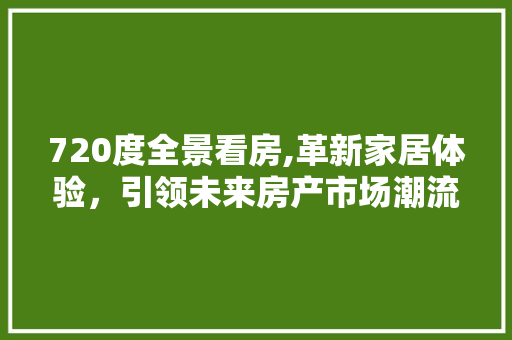 720度全景看房,革新家居体验，引领未来房产市场潮流 地面装修