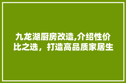 九龙湖厨房改造,介绍性价比之选，打造高品质家居生活