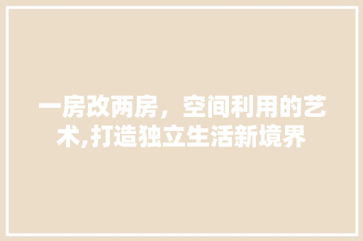 一房改两房，空间利用的艺术,打造独立生活新境界