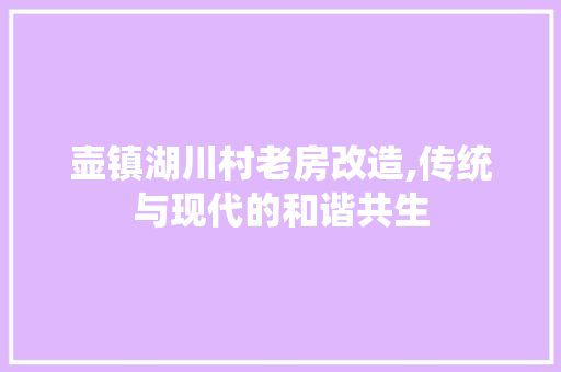 壶镇湖川村老房改造,传统与现代的和谐共生 装修攻略 壶镇湖川村老房改造,传统与现代的和谐共生 装修攻略