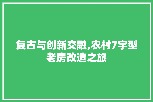复古与创新交融,农村7字型老房改造之旅 建筑设计