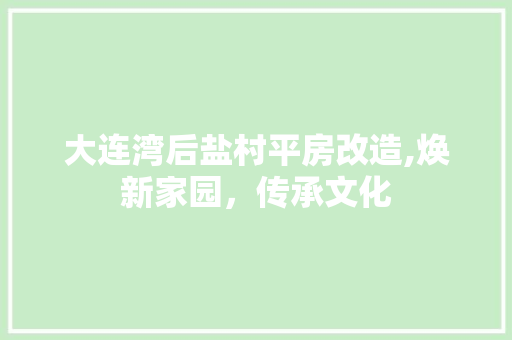 大连湾后盐村平房改造,焕新家园，传承文化