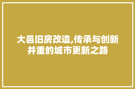 大邑旧房改造,传承与创新并重的城市更新之路