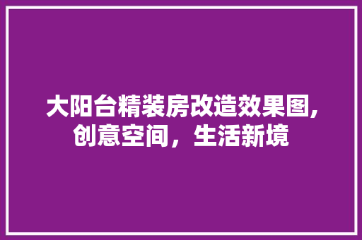 大阳台精装房改造效果图,创意空间，生活新境