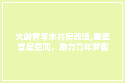 大龄青年水井房改造,重塑宜居空间，助力青年梦圆