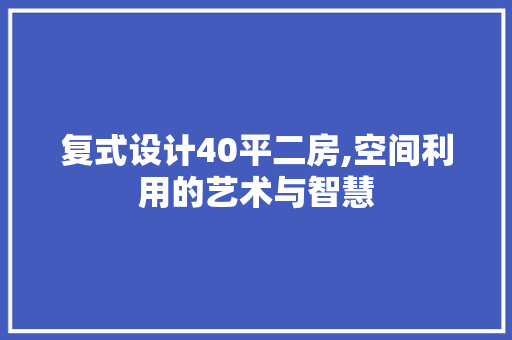 复式设计40平二房,空间利用的艺术与智慧