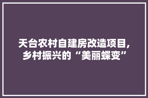 天台农村自建房改造项目,乡村振兴的“美丽蝶变”