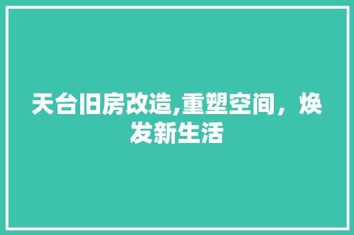 天台旧房改造,重塑空间，焕发新生活
