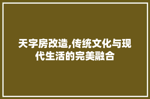 天字房改造,传统文化与现代生活的完美融合