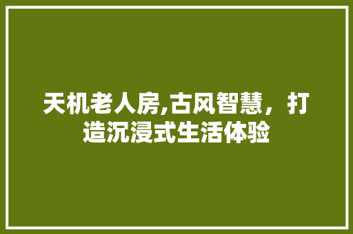 天机老人房,古风智慧，打造沉浸式生活体验