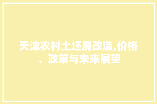 天津农村土坯房改造,价格、政策与未来展望 墙面装饰
