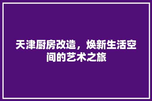 天津厨房改造，焕新生活空间的艺术之旅