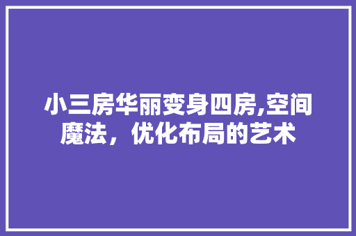 小三房华丽变身四房,空间魔法，优化布局的艺术