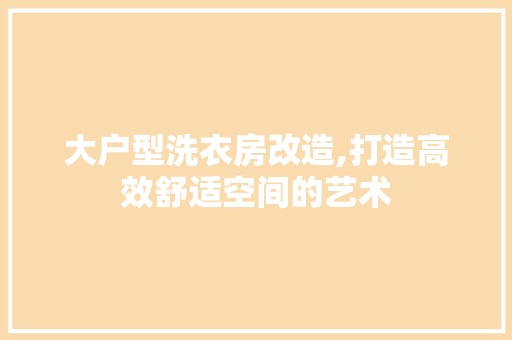 大户型洗衣房改造,打造高效舒适空间的艺术