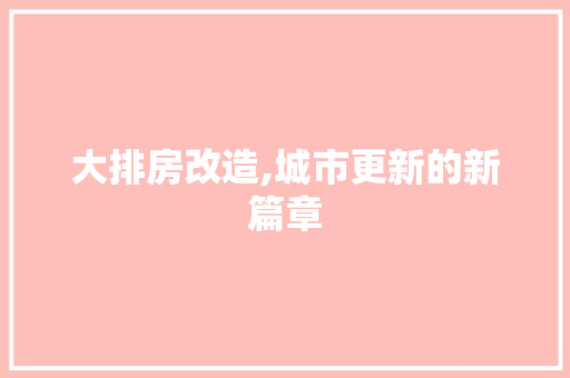 大排房改造,城市更新的新篇章