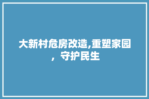 大新村危房改造,重塑家园，守护民生