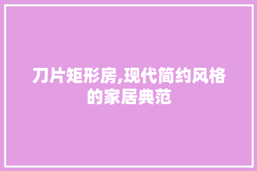 刀片矩形房,现代简约风格的家居典范