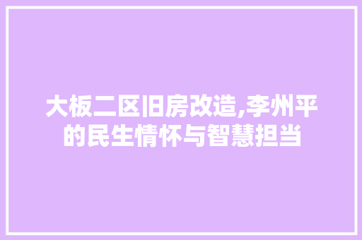 大板二区旧房改造,李州平的民生情怀与智慧担当