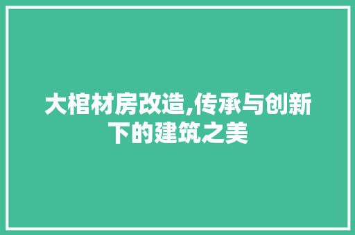 大棺材房改造,传承与创新下的建筑之美 墙面装饰