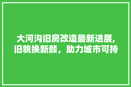 大河沟旧房改造最新进展,旧貌换新颜，助力城市可持续发展 隔断设计