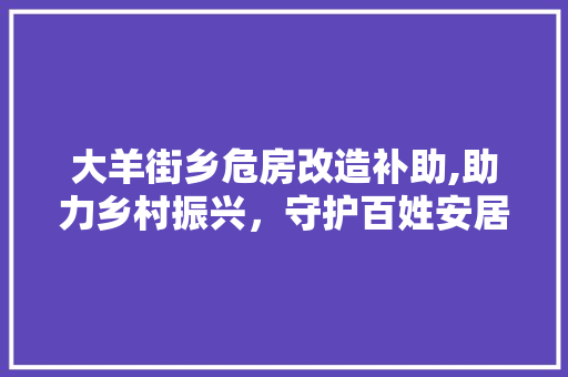 大羊街乡危房改造补助,助力乡村振兴,守护百姓安居乐业 装修攻略 大羊街乡危房改造补助,助力乡村振兴,守护百姓安居乐业 装修攻略