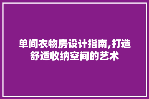 单间衣物房设计指南,打造舒适收纳空间的艺术