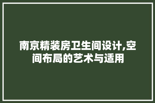 南京精装房卫生间设计,空间布局的艺术与适用
