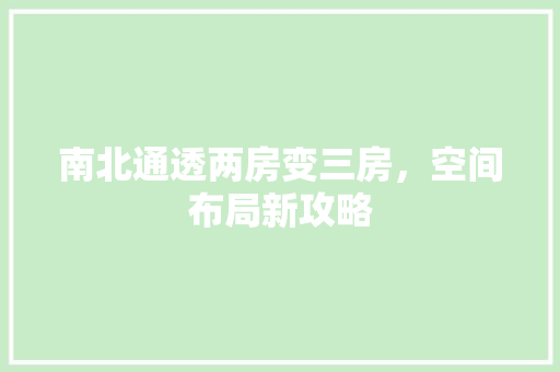 南北通透两房变三房,空间布局新攻略
