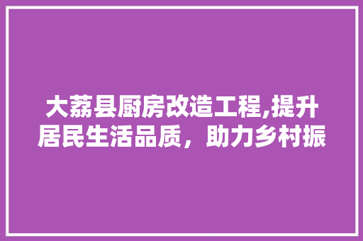 大荔县厨房改造工程,提升居民生活品质，助力乡村振兴