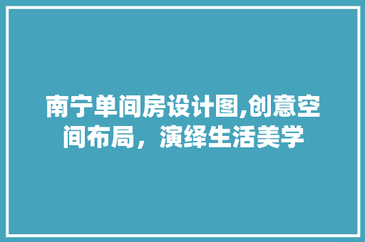 南宁单间房设计图,创意空间布局，演绎生活美学
