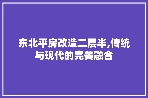 东北平房改造二层半,传统与现代的完美融合