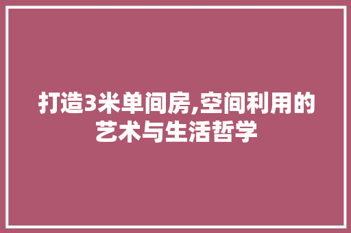 打造3米单间房,空间利用的艺术与生活哲学