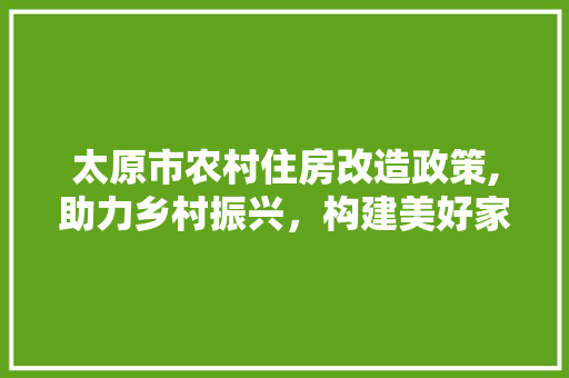 太原市农村住房改造政策,助力乡村振兴，构建美好家园 墙面装饰