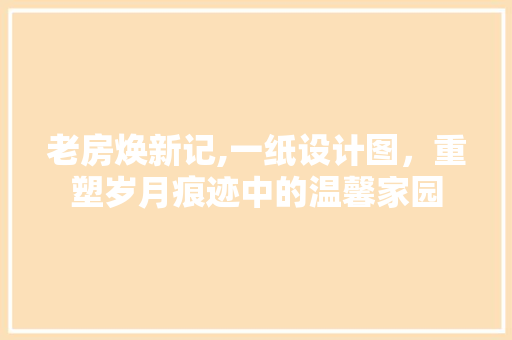 老房焕新记,一纸设计图，重塑岁月痕迹中的温馨家园 装修攻略