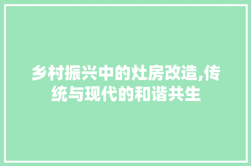 乡村振兴中的灶房改造,传统与现代的和谐共生