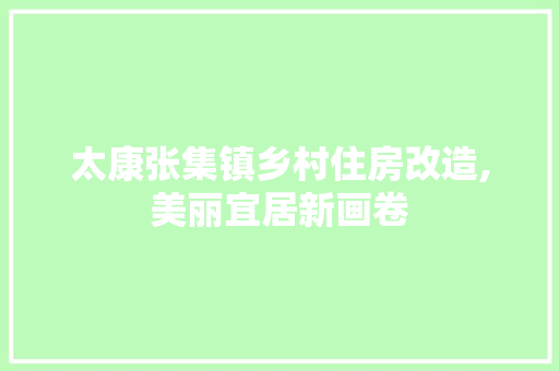 太康张集镇乡村住房改造,美丽宜居新画卷