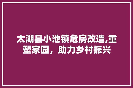 太湖县小池镇危房改造,重塑家园，助力乡村振兴
