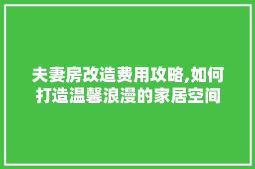 夫妻房改造费用攻略,如何打造温馨浪漫的家居空间