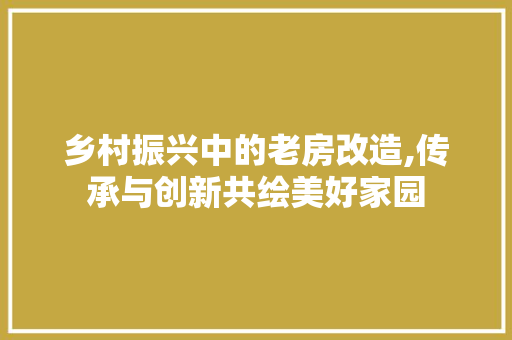 乡村振兴中的老房改造,传承与创新共绘美好家园