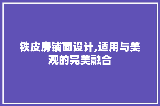 铁皮房铺面设计,适用与美观的完美融合