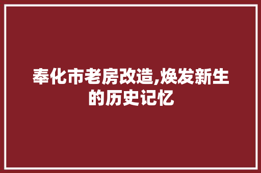 奉化市老房改造,焕发新生的历史记忆